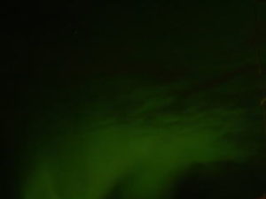 2004.11.12
夫の力作2(アップで）